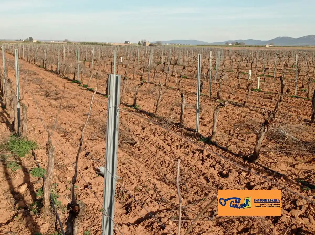 Rural land for sale in Valdepeñas, imagen 6