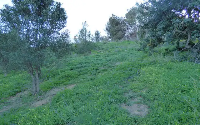 Terreno residencial en venta en Benalmádena pueblo, imagen 4