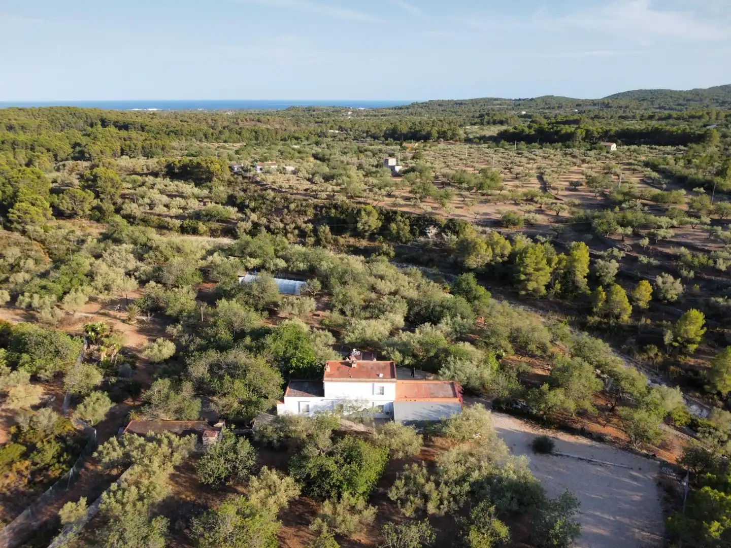 Maison rustique avec piscine à vendre à El Perelló, imagen 2