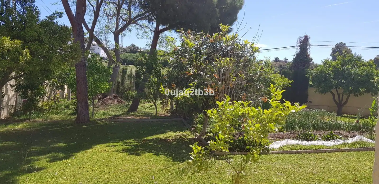 Villa mit Terrasse zum Verkauf in Avenida de las Palmeras 1, imagen 26