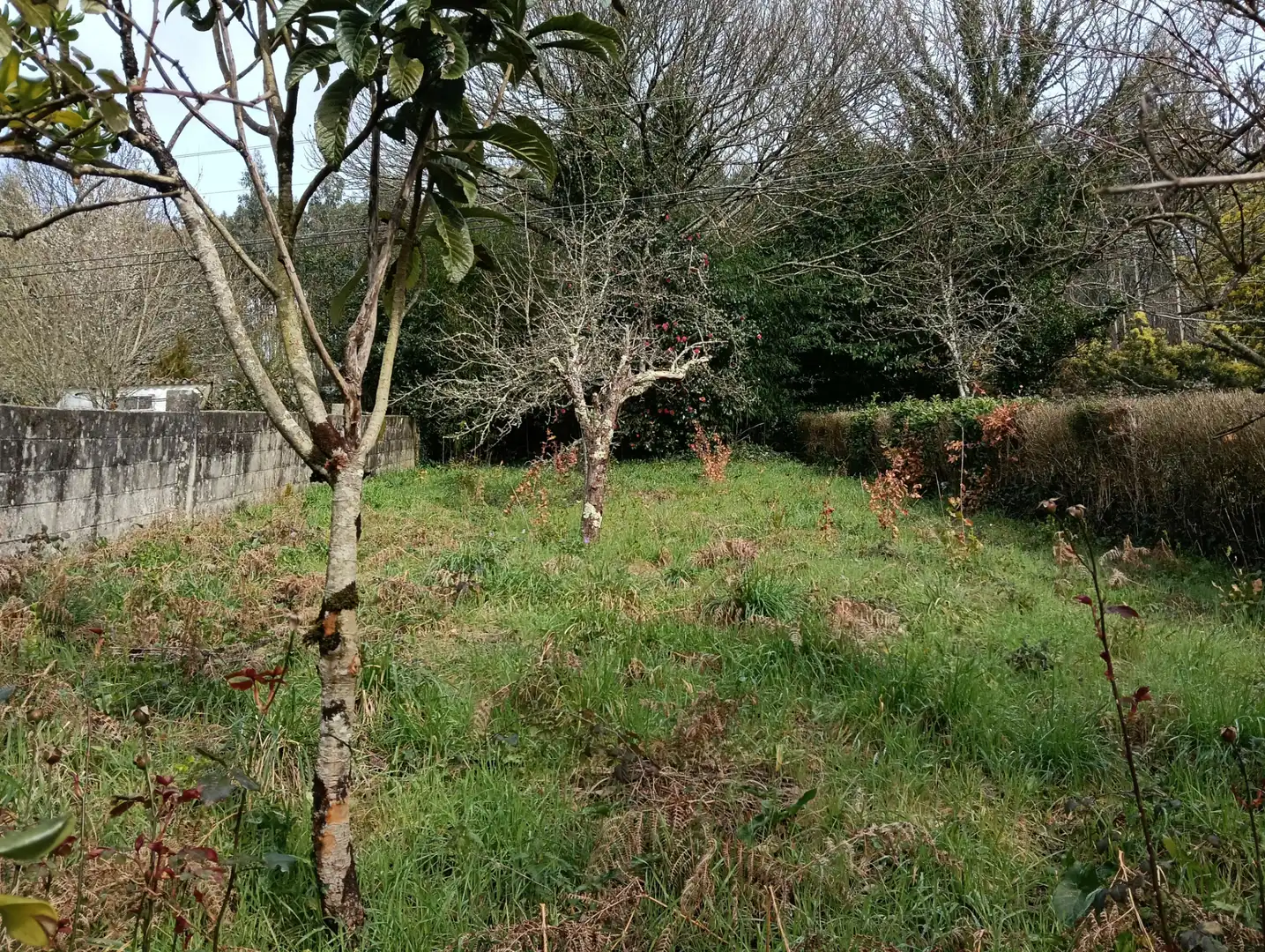 Adossat amb jardí en venda a Foro 55, imagen 46