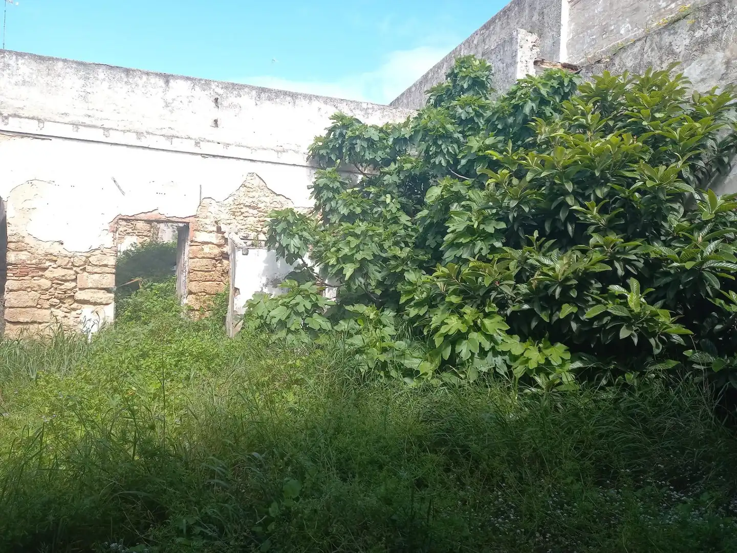 Residencial en venta en San Fernando
