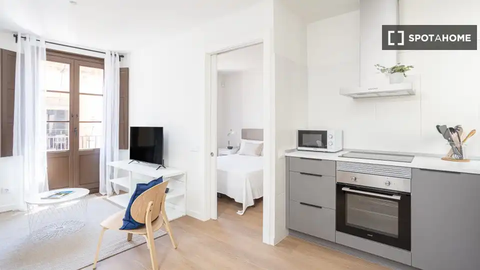 Flat to rent in Ciutat Vella, imagen 7