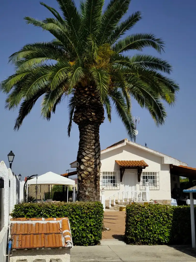 Villa mit Pool zum Verkauf in El Viso de San Juan, imagen 15