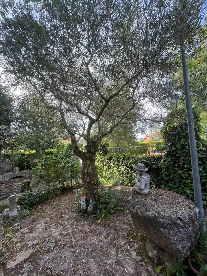 Jardín de Casa o chalet en venta en La Alberca  con Jardín privado, Parquet y Amueblado