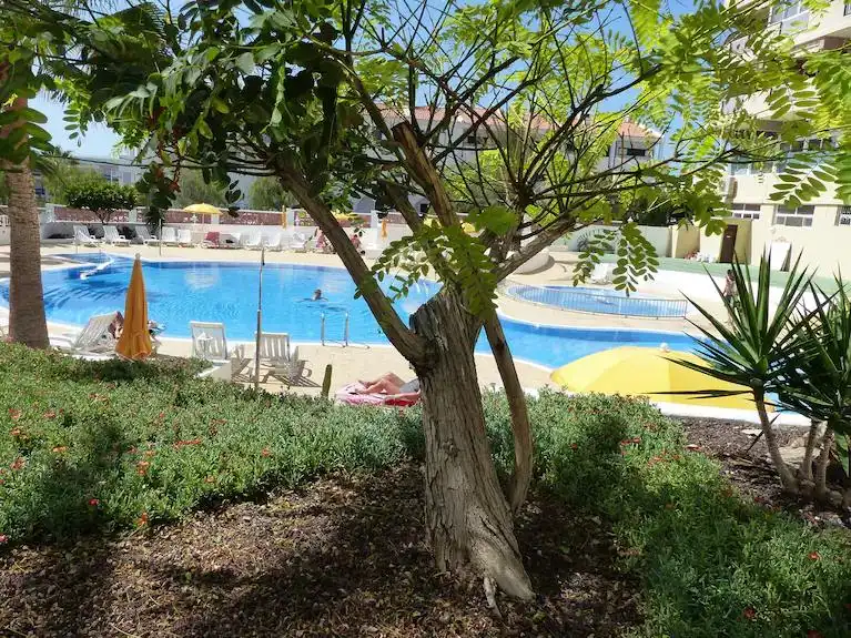 Piscina de Apartament en venda en Adeje amb Terrassa, Moblat i Forn