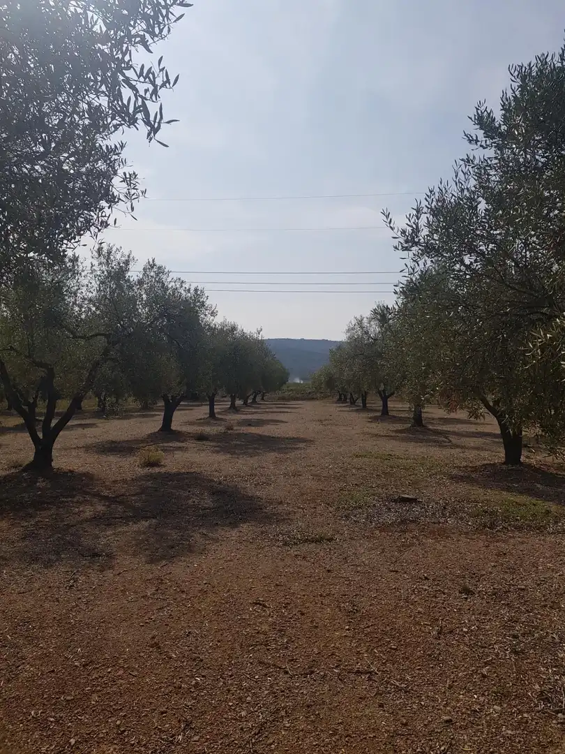 Rustikales Grundstück zum Verkauf in Santa Bàrbara, imagen 3