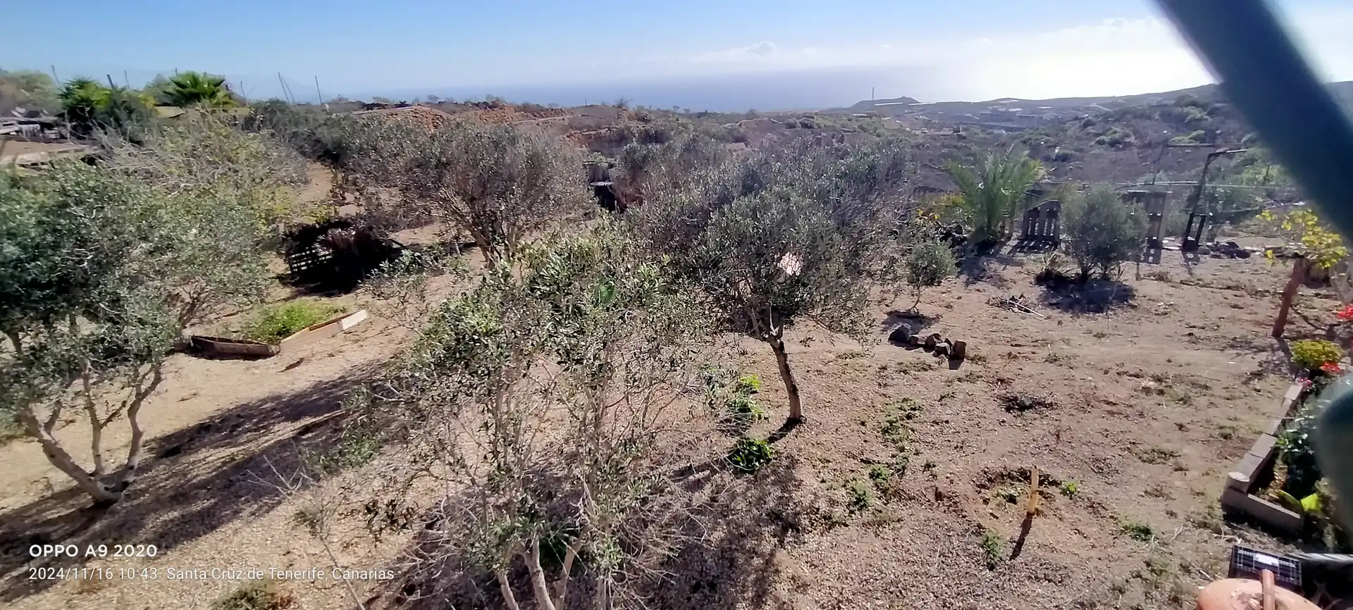 Terreno en venta en Arico