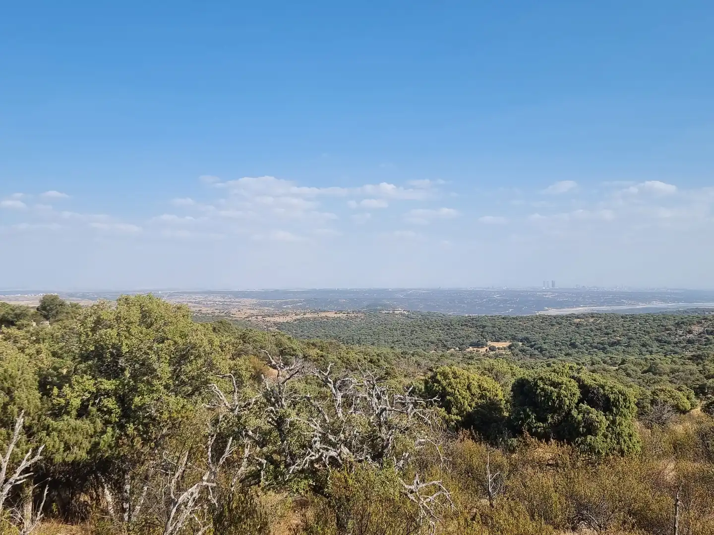 Land for sale in Colmenar Viejo