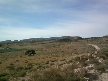 Terreny rústic en venda a Aguamarga