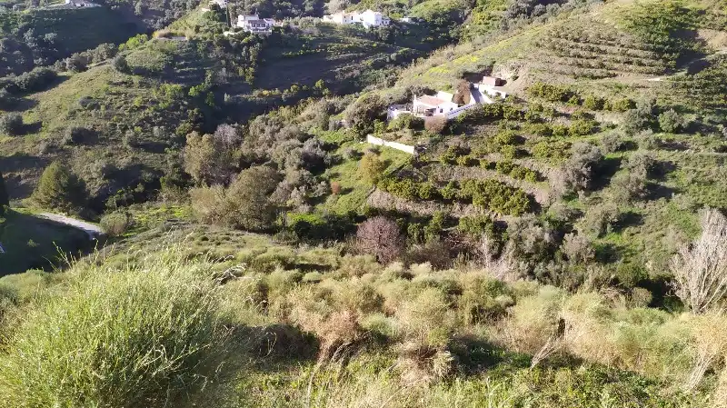 Land for sale in Frigiliana