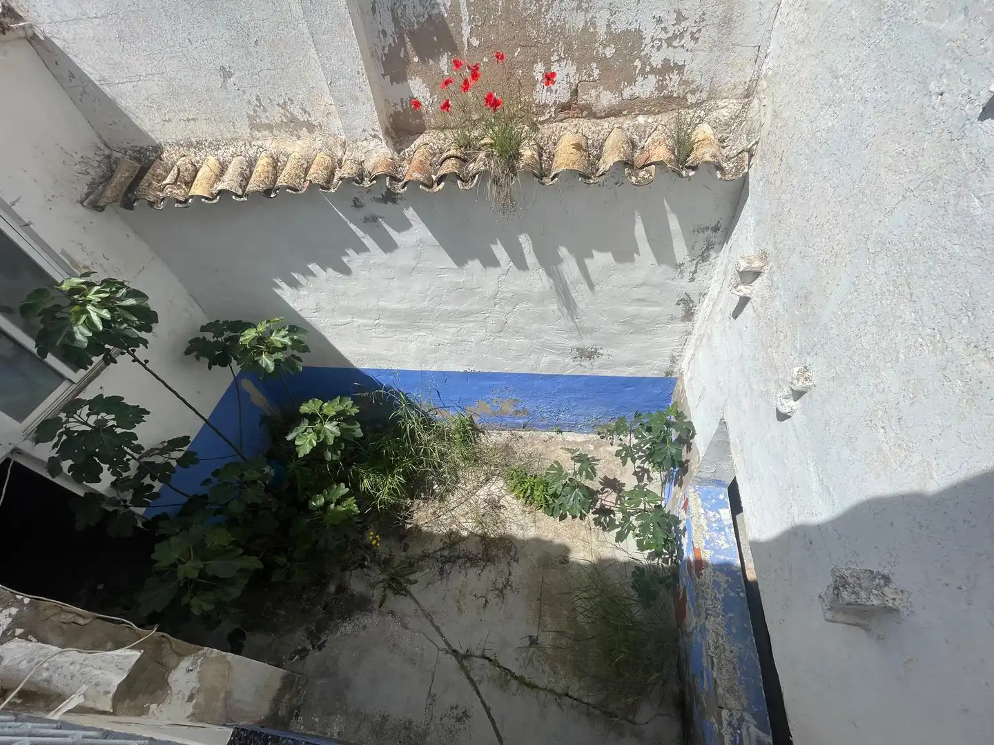 Jardín de Casa o chalet en venta en Quintanar de la Orden