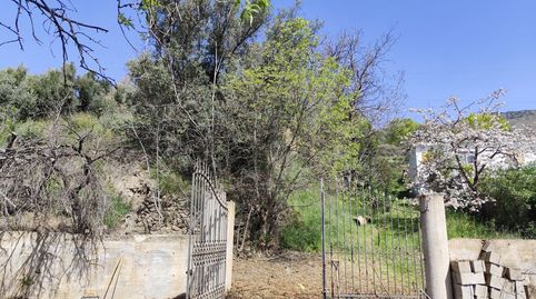 Foto 5 de Finca rústica en venta en Pago Bancala Poligono 8 Parcela 415, Lanjarón, Granada