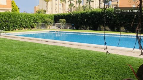 Photo 2 of Study to share in Playa de San Juan, Alicante