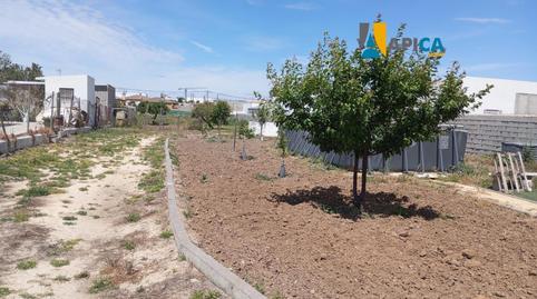 Photo 5 of House or chalet for sale in Las Lagunas - Campano, Cádiz