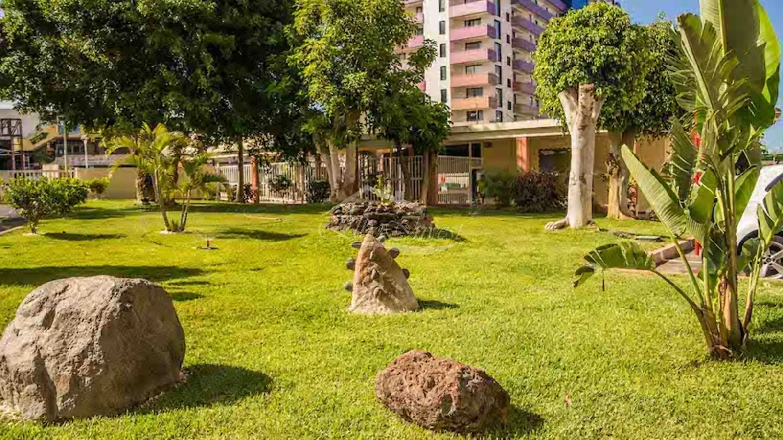 Garden of Flat for sale in Adeje  with Terrace, Swimming Pool and Furnished