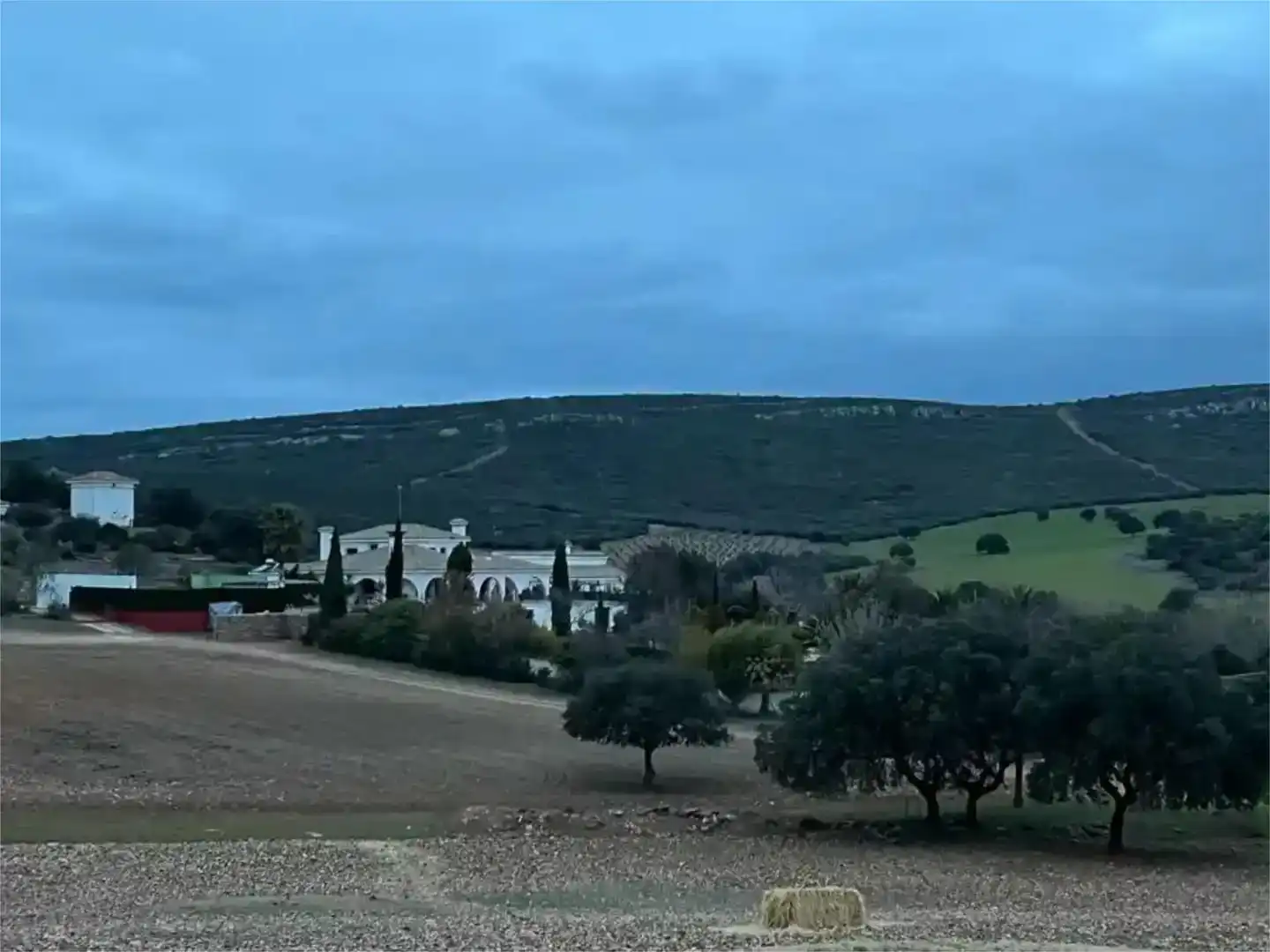 Vista exterior de Piso en venta en Piedrabuena