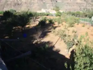 Finca rústica en venta en San Bartolomé de Tirajana con Jardín privado y Terraza