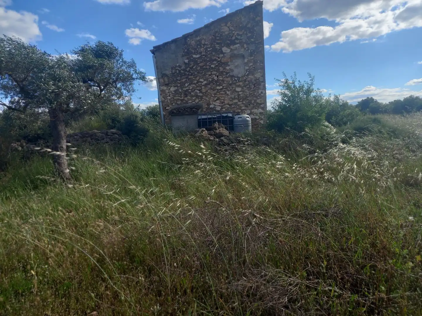 Terreno rústico en venta en Garcia, imagen 22