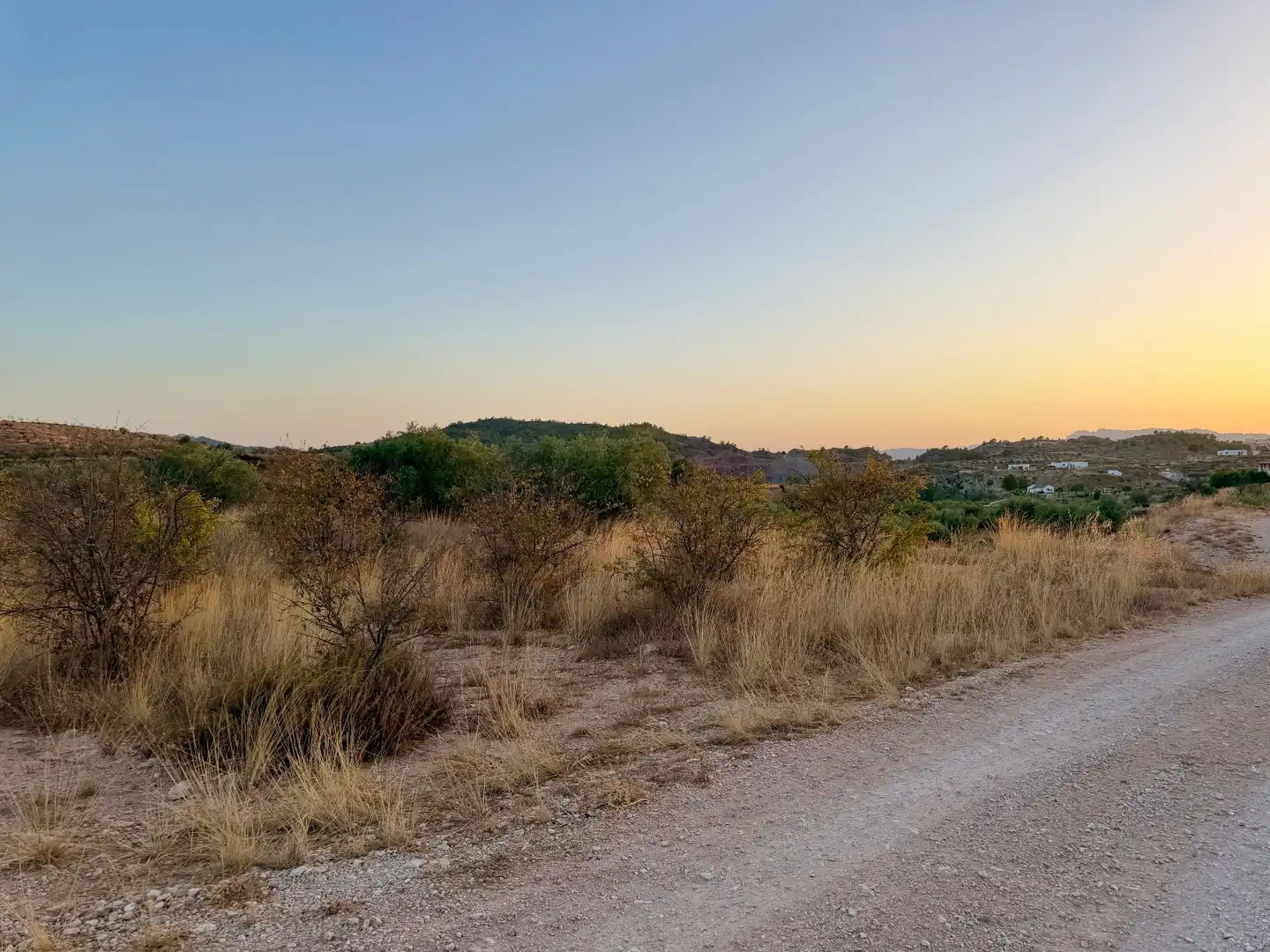 Lands and plots for sale in Abanilla