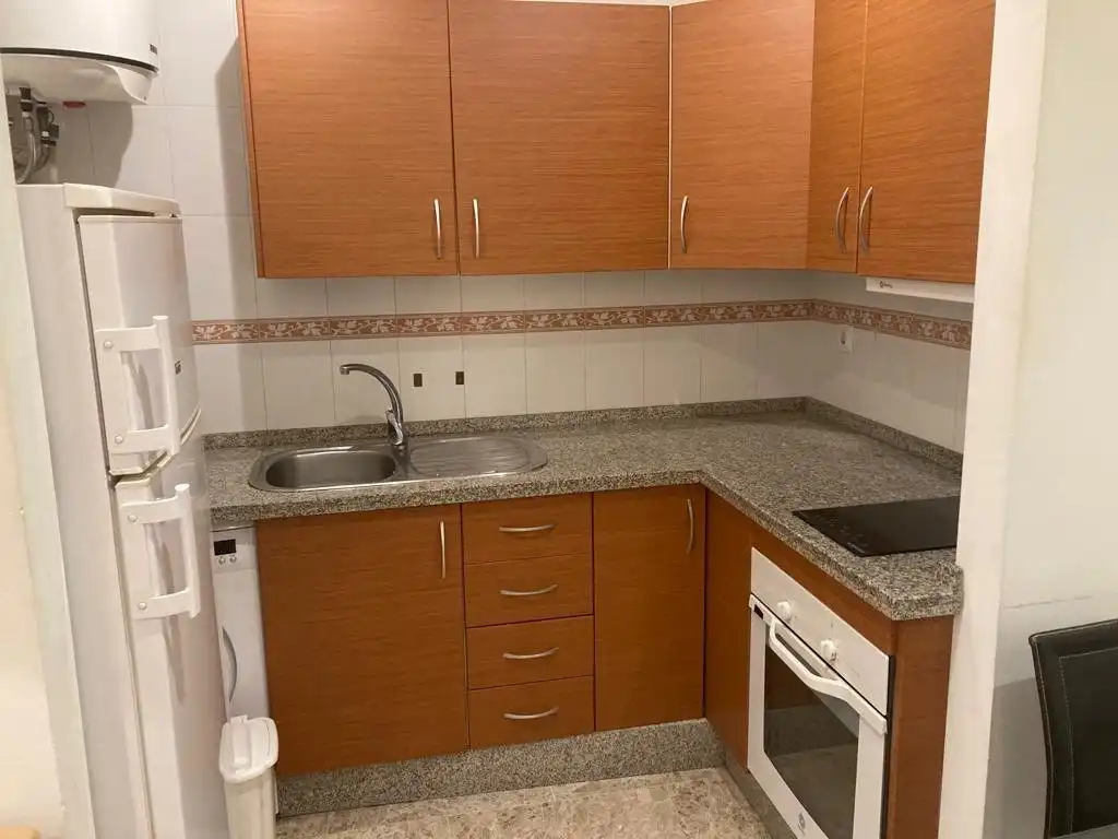 Appartamento con ascensore in affitto a Calle ALCALDE APARICIO Y MARIN 6, imagen 10