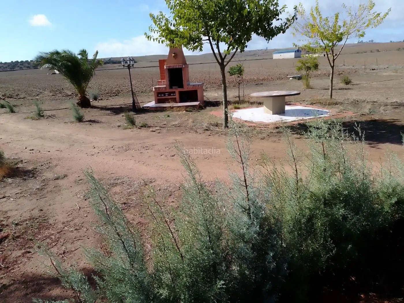Terreny residencial en venda a Plaza Monseñor Miguel Castillejo 1, imagen 19