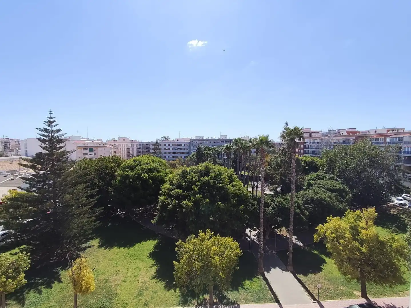 Vista exterior de Àtic en venda en Torrevieja amb Traster i Moblat