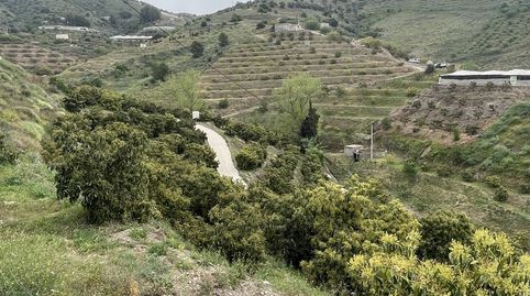 Finca en venta en Pago del Tesoro, ÍtraboOportunidad única! Se vende finca rústica de 9.400m2  totalmente equipada y lista para pr, immagine 4