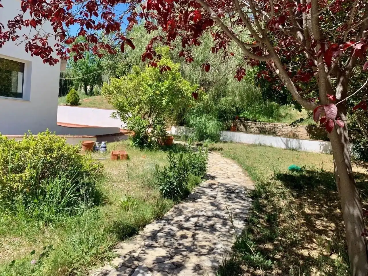 House with garden for sale in Las piedras 5, imagen 16