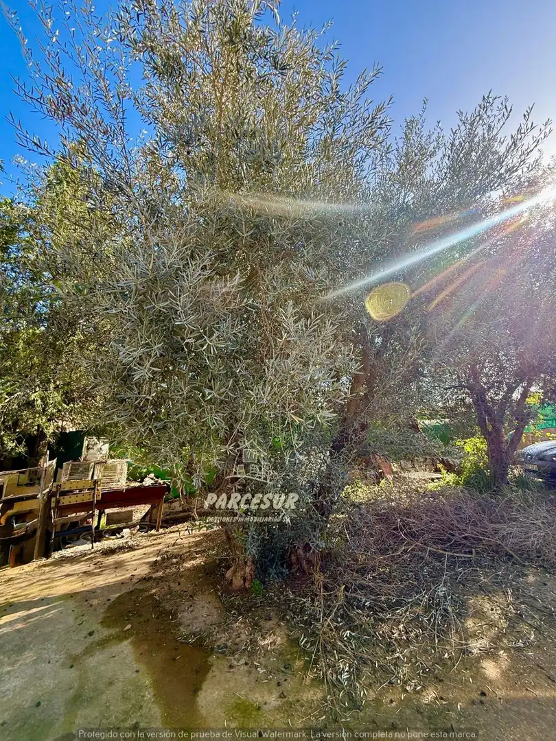 Garten von Country house zum Verkauf in Almodóvar del Río mit Abstellraum
