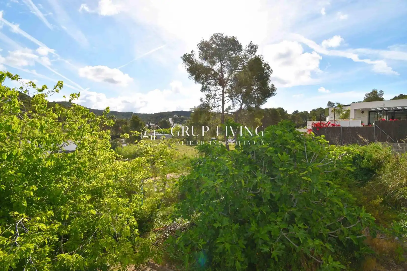 Residential land for sale in Mas Alba, imagen 17