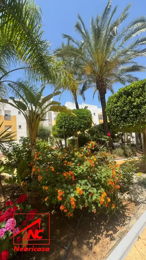 Flat with lift for sale in Norte - Blanca Paloma, imagen 15