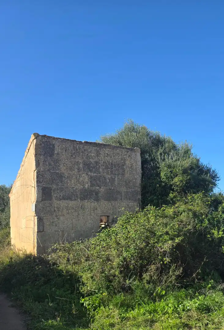 Exterior view of Land for sale in Porreres
