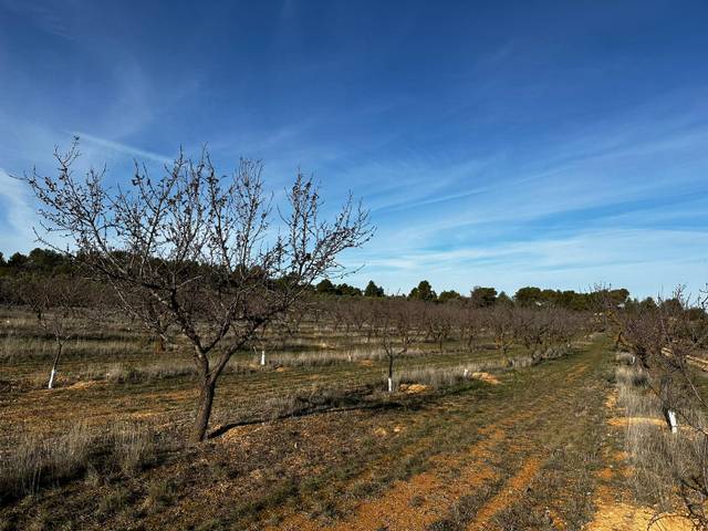 Terreno en Venta en La Pobla de Cérvoles