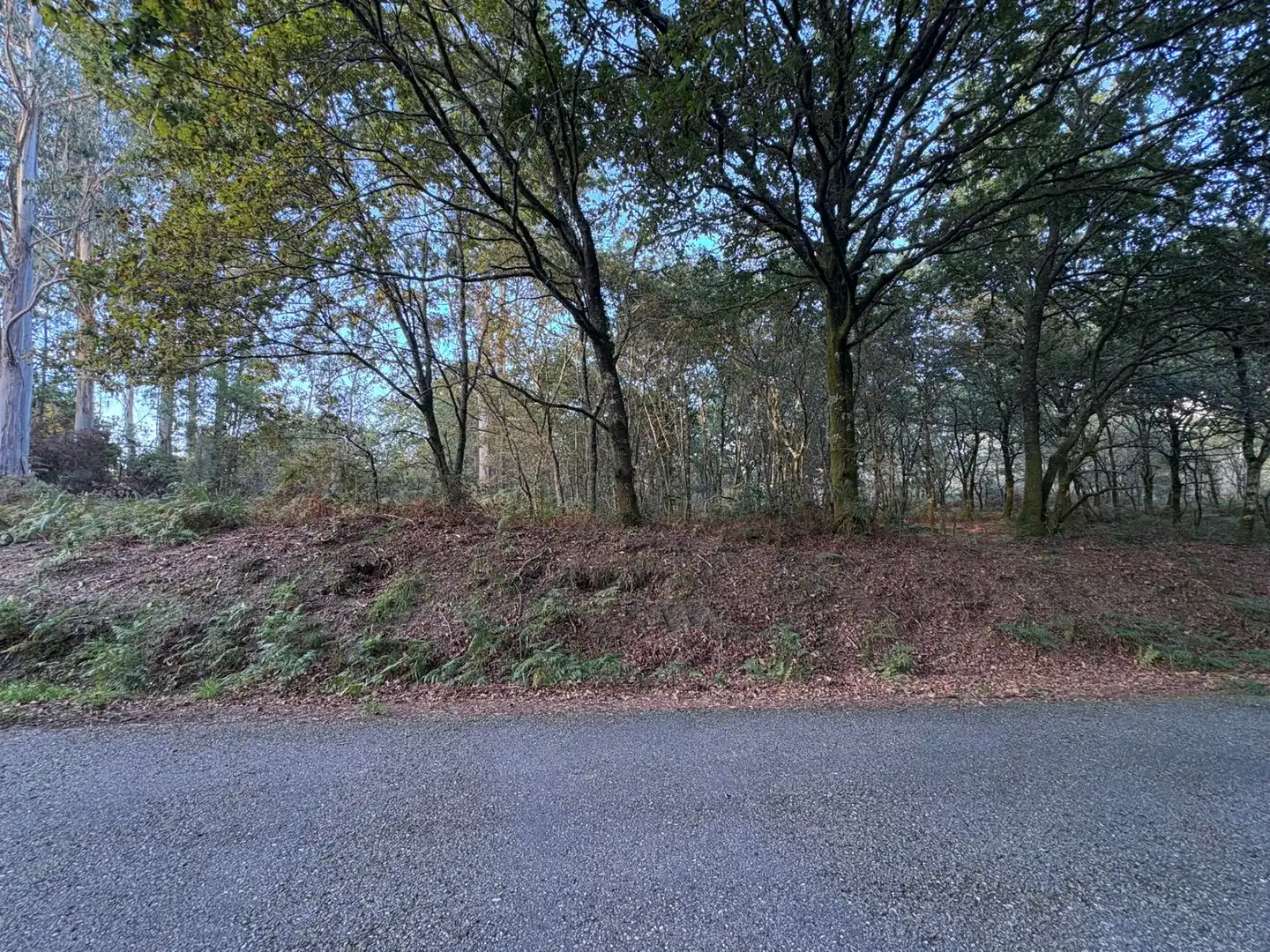 Lands and plots for sale in Mondariz, imagen 5