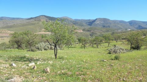 Foto 5 de Terreny en venda a N/a, -1, Fondón, Almería