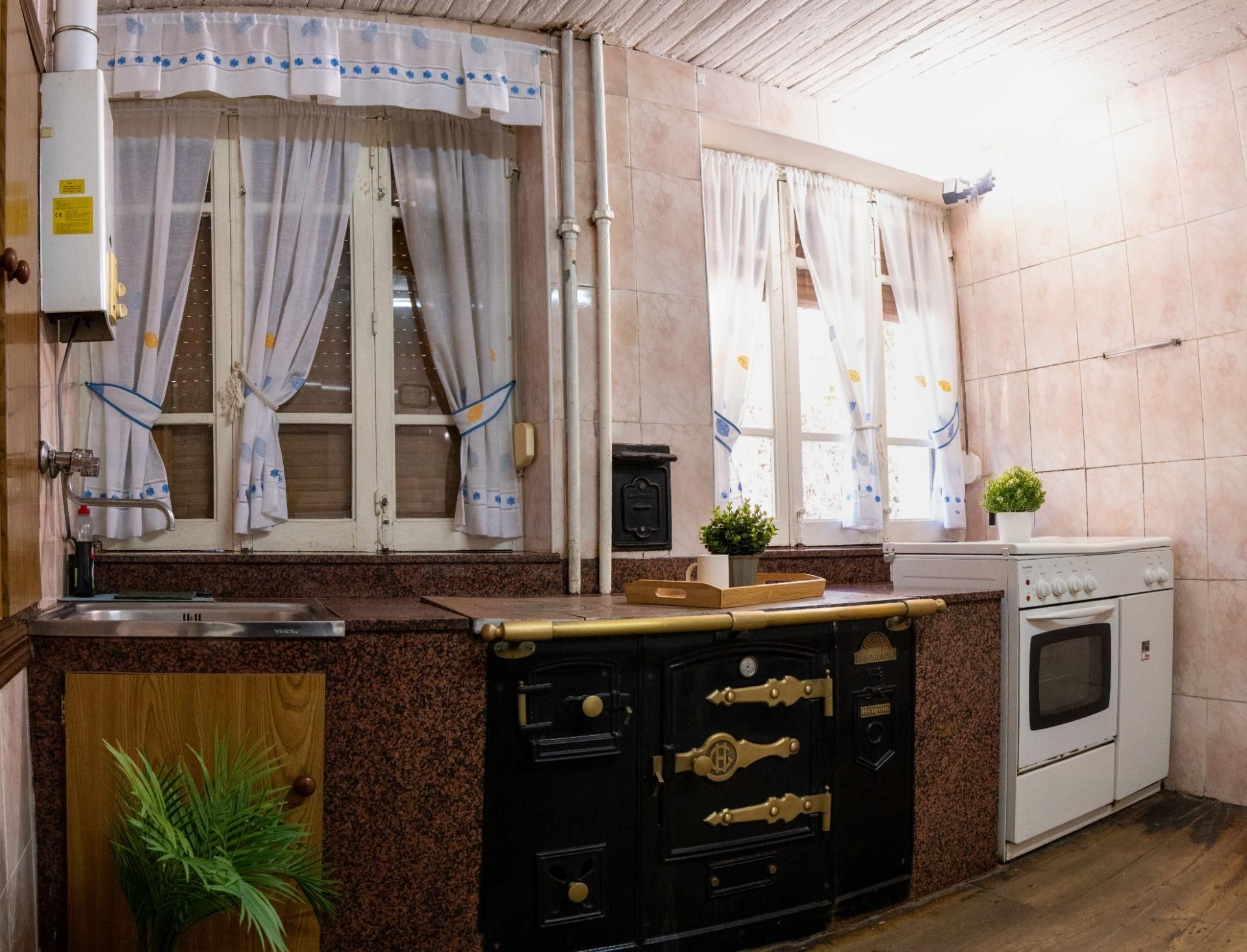 Kitchen of House or chalet for sale in Tineo  with Private garden