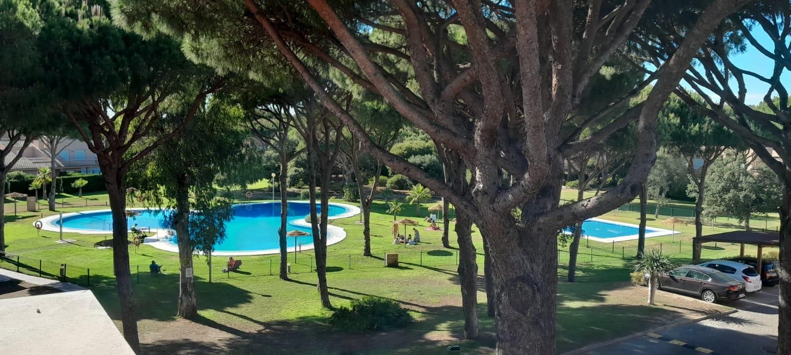 Jardí de Casa adosada en venda en Chiclana de la Frontera amb Jardí privat, Terrassa i Piscina comunitària