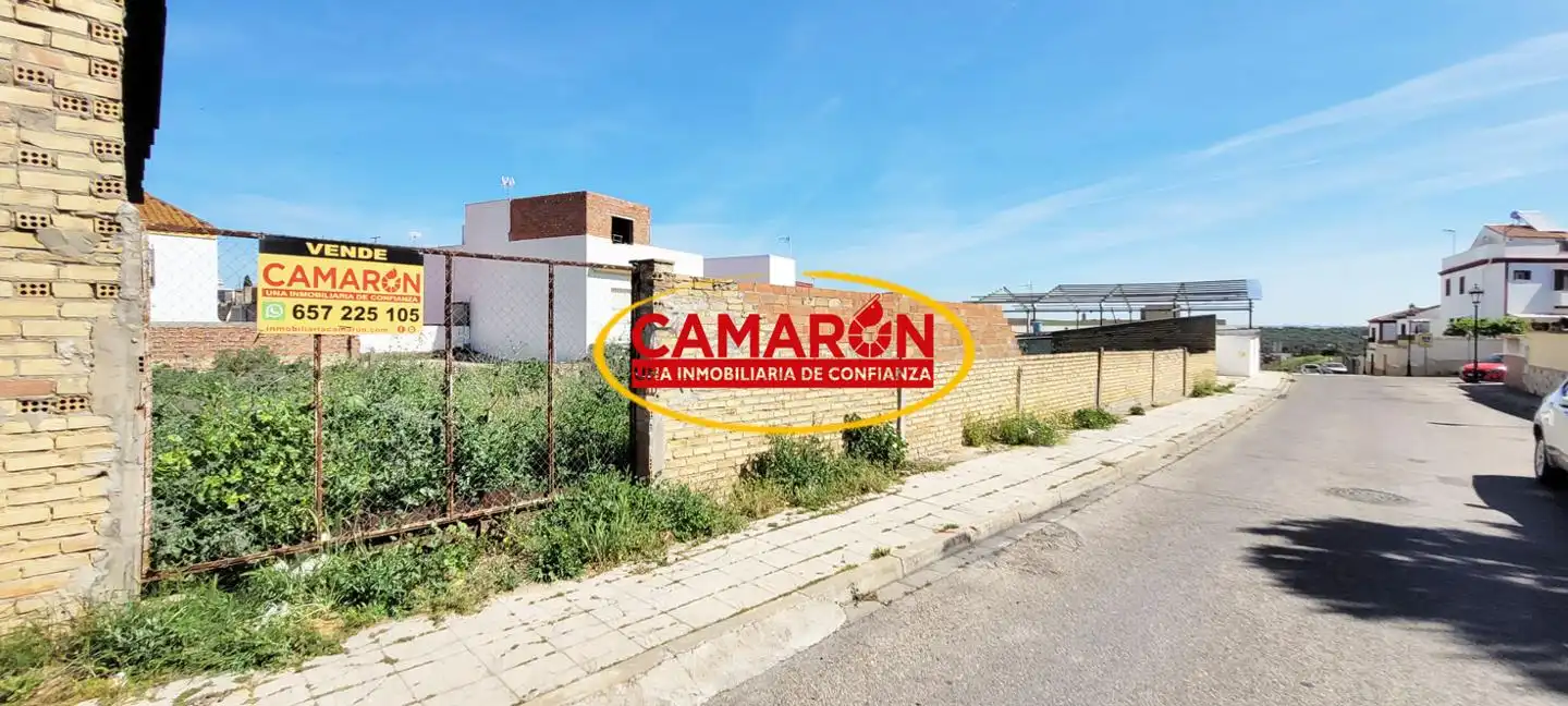 Lands and plots for sale in Palomares del Río