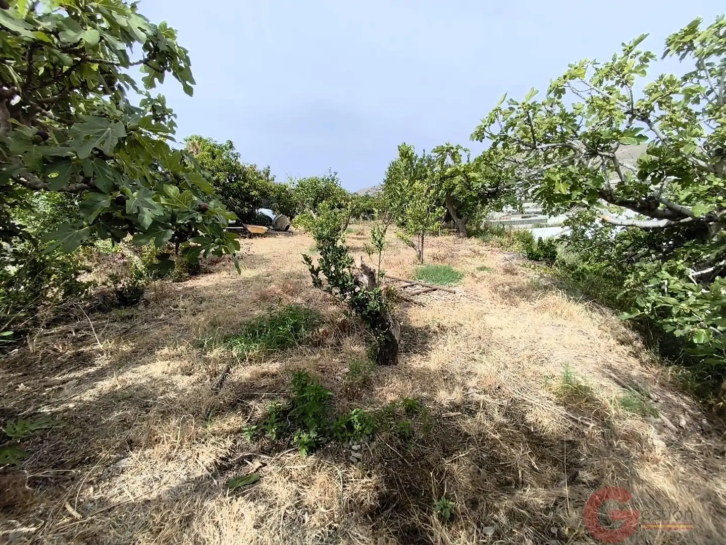 Finca rústica en venda en Motril amb Terrassa i Piscina