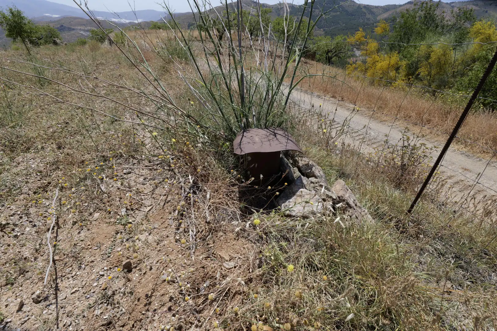 Land for sale in Murtas