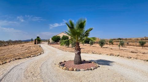 Foto 5 de Casa o chalet en venta en El Pinós / Pinoso, Alicante