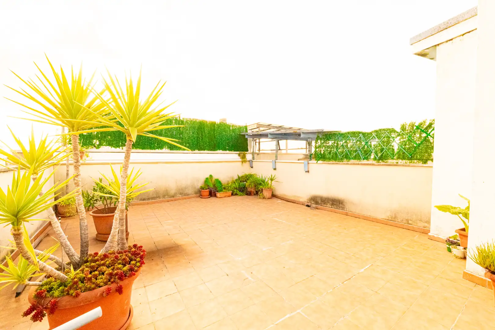 Attique avec terrasse à vendre à Carrer Margalló, imagen 3