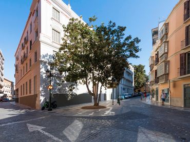 Terreno residencial en venta en Centro