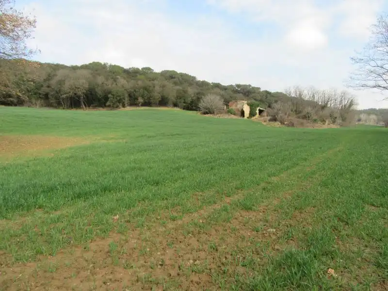 Terreno rústico en venta en Santa Maria de Palautordera, imagen 13