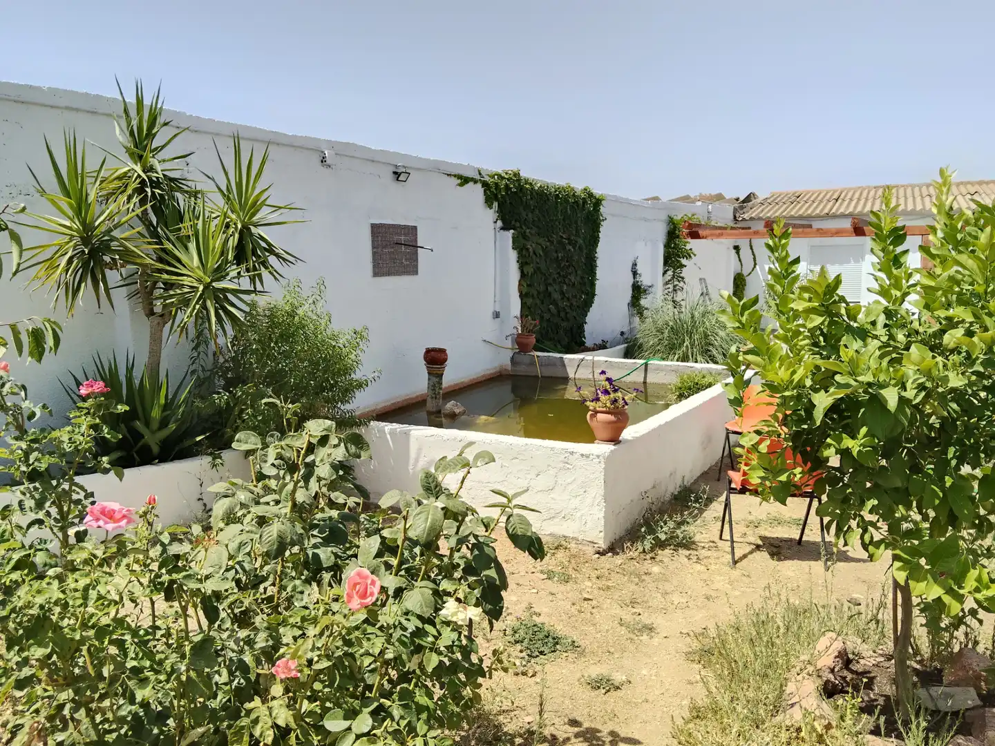 Detached homes for sale in Villaminaya