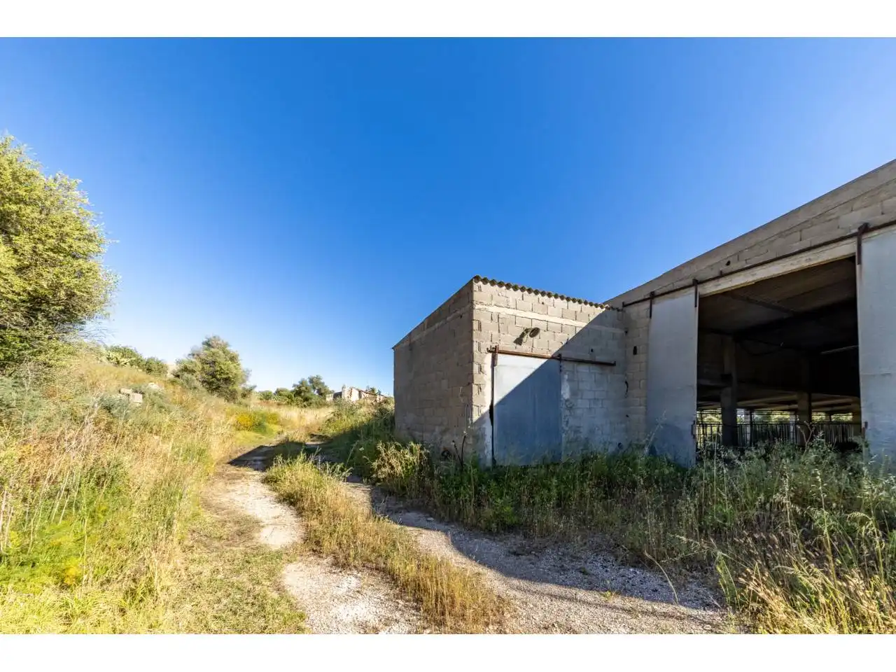Terreno rustico in vendita a Llucmajor pueblo, imagen 70