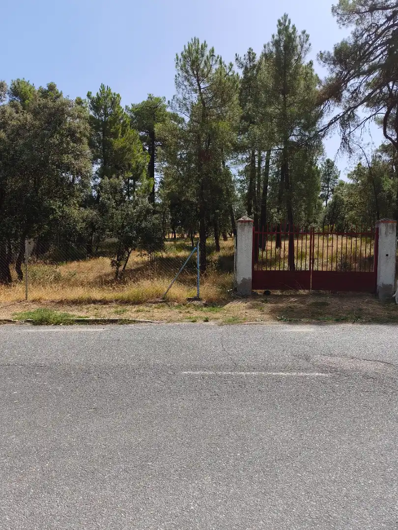 Terreny residencial en venda a Calle de los Abetos 106, imagen 28