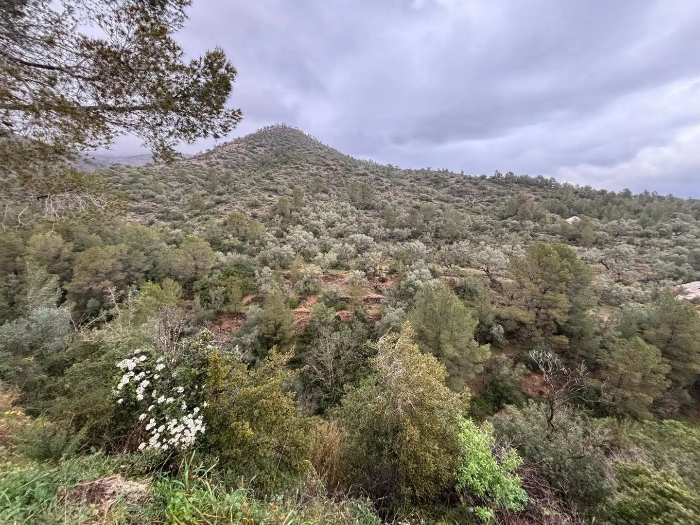 Casa rústica en venta en Alfara de Carles, imagen 24