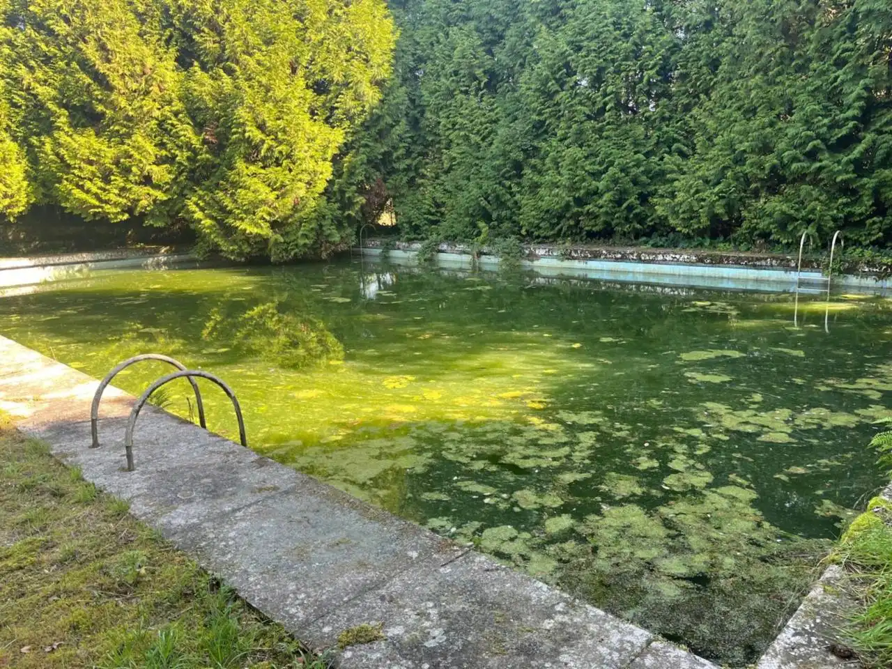 Swimming pool of Houses for sale in Santiago de Compostela   with Heating, Private garden and Parquet flooring